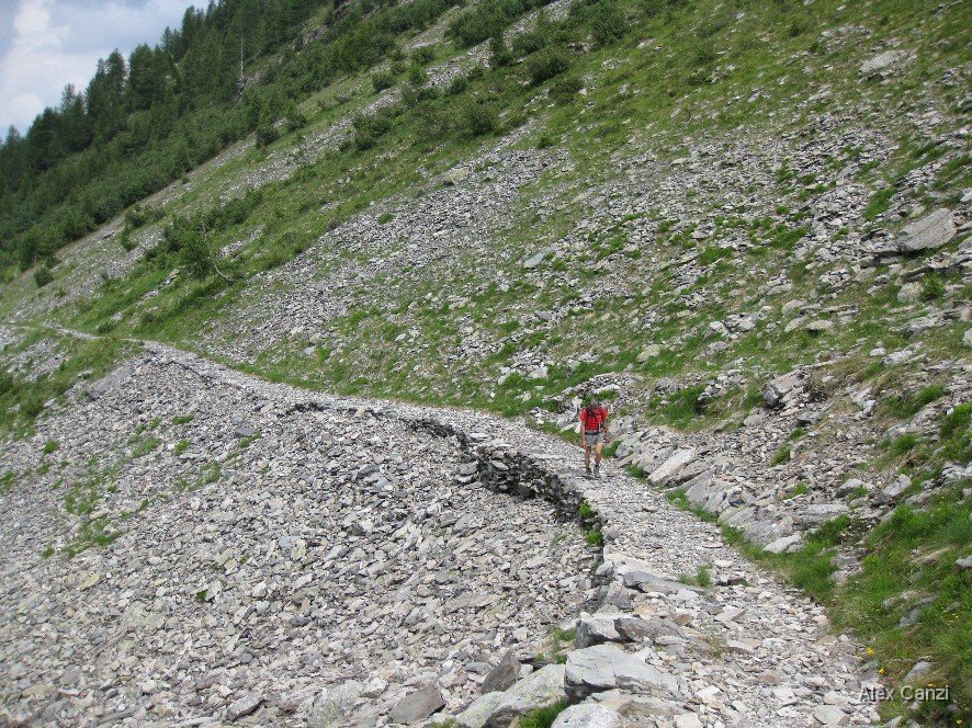 sulla via del ritorno.jpg - Sulla via del ritorno